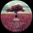 Burex - Crazy Original Mix