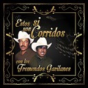 Los Tremendos Gavilanes - El corrido de Chihuahua