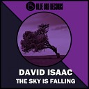 David Isaac - The Sky Is Falling JL s Crankin Yankin Remix