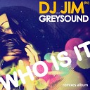 DJ Jim Greysound vs Audio J - Who is up DJ Juna Mash up