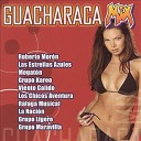 Grupo Maravilla feat Viento Calido Nacion Los Papis Grupo Ligero Rafaga Musical Chicos Aventura Alberto Pedraza Grupo… - Mega Mix