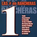 Ranchera All Stars feat Alberto Aguilera - Costumbres