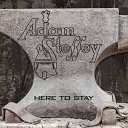 Adam Steffey - Cloudy Days