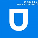 Ushira - Humn Of Desapair (Original Mix)