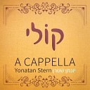 Yonatan Stern - Aish