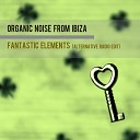 Organic Noise From Ibiza - Fantastic Elements Alternative Radio Edit