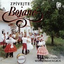 Bojan z Doln ch Bojanovic - Jano Jano