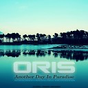 ORIS - Another Day In Paradise Luke Creed Remix