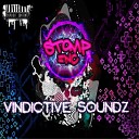 Stomp Inc - Vindictive Soundz Megamix
