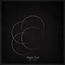 Night Owl - Cooper s Dream Original Mix