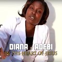 Diana Adebi - In the Heart of Jesus