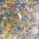 Matthew Shaw - We Are All Made Of Stars