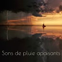 Ensemble de Musique Zen Relaxante - Son pur