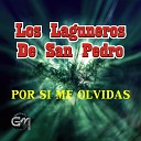 Los Laguneros De San Pedro - Quiero Quiero