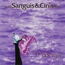 Sanguis et Cinis - Im Angesicht der Sonne und im Auge des Lichts