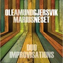 Ole Amund Gjersvik Marius Neset - It s Just Music