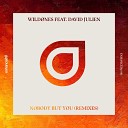 WildOnes feat David Julien - Nobody But You Ariel Danilo vs Mateusz Remix