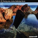 BT - Flaming June Ashley Wallbridge Remix