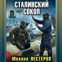 НЕСТЕРОВ МИХАИЛ - 26 СТАЛИНСКИЙ СОКОЛ…