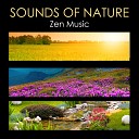 Sounds of Nature White Noise for Mindfulness Meditation and… - Piano Sonata No 14 in C Sharp Minor Op 27 No 2 Moonlight Sonata Classical Music Rain Sounds White…