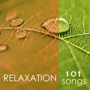 Spa Music Relaxation Meditation - Crossing the River