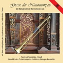 Andrzej Szadejko Pawel Hulisz Goldberg Baroque… - Sonata Terza detta del Niccolini