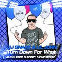 DJ Snake Lil John - Turn Down For What Alexx Reed Remix