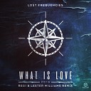 Lost Frequencies - What Is Love 2016 Regi Lester Williams Extended…