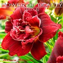 Sergey Korovin - Power of beauty