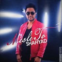 Shahyad - Mesle To