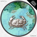 Swwitch - Tambura Original Mix