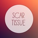 RHCP - Scar Tissue N to Remix