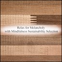 Mindfulness Sustainability Selection - Linden Flower Acoustic Original Mix