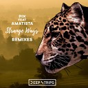 PIX Elegant Ape Amatista - Strange Ways Lassq Remix