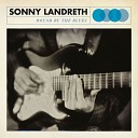 Sonny Landreth - Fallin For You