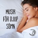 Djup Avslappnings vningar Akademi feat Meditation Music… - Sova Avkoppling