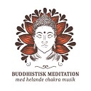 Mindfulness Meditation V rlden - I templet