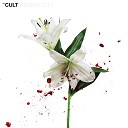 The Cult - Avalanche Of Light