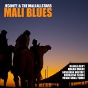 JeConte The Mali All Stars feat Khaira Arby Bassekou… - Nous Aimons Le Mali