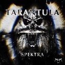 Spektra - Tarantula Original Mix