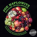 Joe Kaplowitz Jazz Orkestar Hrt A - Time to Go