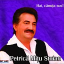 Petrica Mitu Stoian - Sapte Mandre Am Tocmite