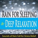 John Story - Post Rain Wind Sounds for Stress Relief