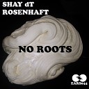 Shay dT Rosenhaft - No Roots Original Mix