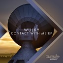 Wulky - Something To Say (Original Mix)