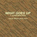 Stephen James Taylor - What Goes up Comes Back Down