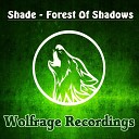 Shade - Forest Of Shadows Original Mix