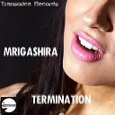 Mrigashira - Everything Is Changing Original Mix