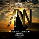 Miguel Angel Castellini - Amadea Radio Edit