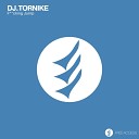 DJ TORNIKE - Fucking Jump Original Mix